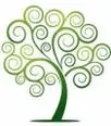 Child Development & Neuropsychology Center (CDNC)