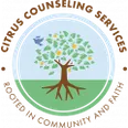 Christian Counseling Service