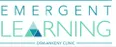 Emergent Learning Clinic