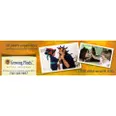Growing Minds Autism Programs