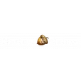 Nurture & Nature Applied Behavior Analysis and Consultation