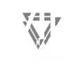 VIP, Inc.