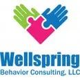 Wellspring Behavior Consulting, LLC