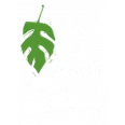 Austin Area Speech & Language