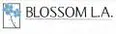 Blossom L.A. Pediatric Therapy