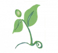 Sprout Behavior Support Services