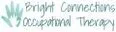 The P.L.A.Y Project- Bright Connections Occupational Therapy